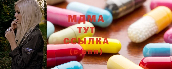 индика Дмитриев