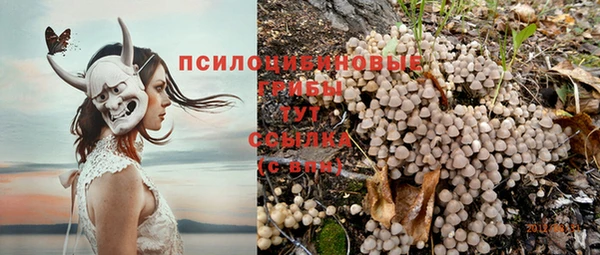 индика Горно-Алтайск