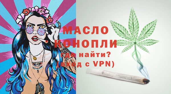 СК Дмитров